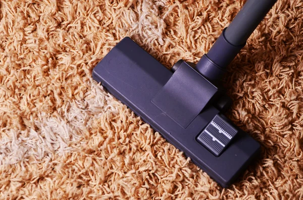 Carpet Cleaning